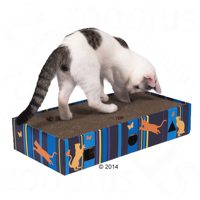 zooplus Kratzmöbel Scratch & Play kaufen Vatertagsangebot