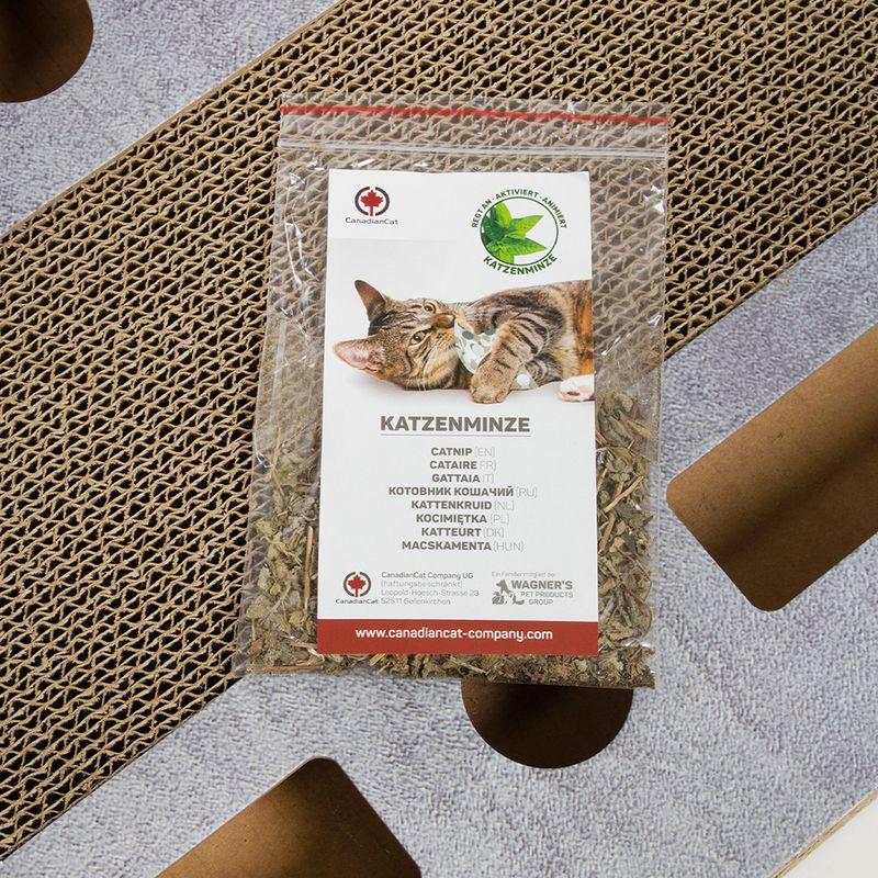 zooplus CanadianCat Company Katzenspielplatz PlayPlate kaufen Lagerräumung
