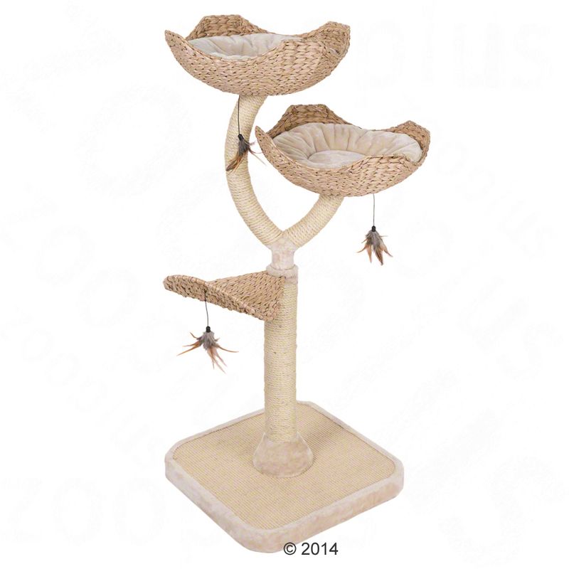 zooplus Kratzbaum Cat´s Flower kaufen Sonderangebote