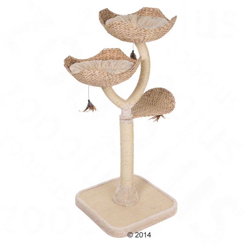 zooplus Kratzbaum Cat´s Flower kaufen Sonderangebote
