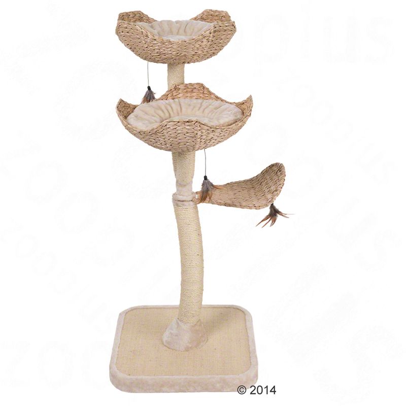 zooplus Kratzbaum Cat´s Flower kaufen Sonderangebote