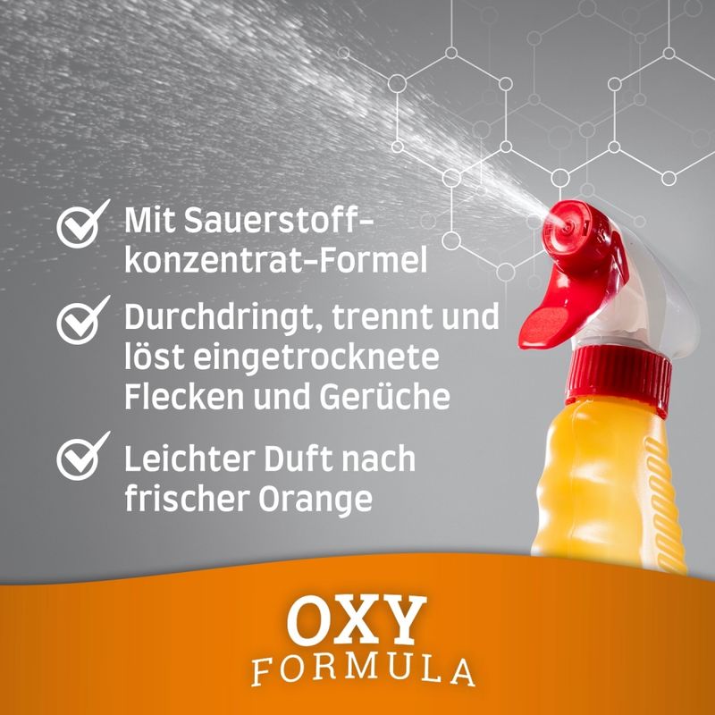 zooplus Nature's Miracle Katze Set-In Flecken- und Geruchsentferner kaufen Nur für heute
