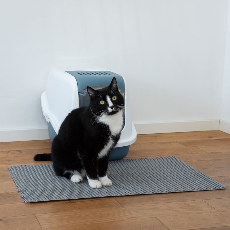 zooplus Katzentoilettenvorleger Trap-it kaufen Bis zu 55% Rabatt