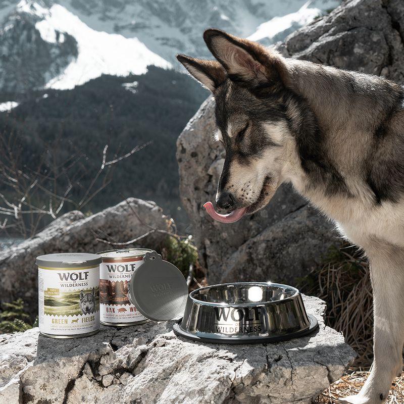 zooplus Wolf of Wilderness Dosendeckel kaufen Wochenangebot