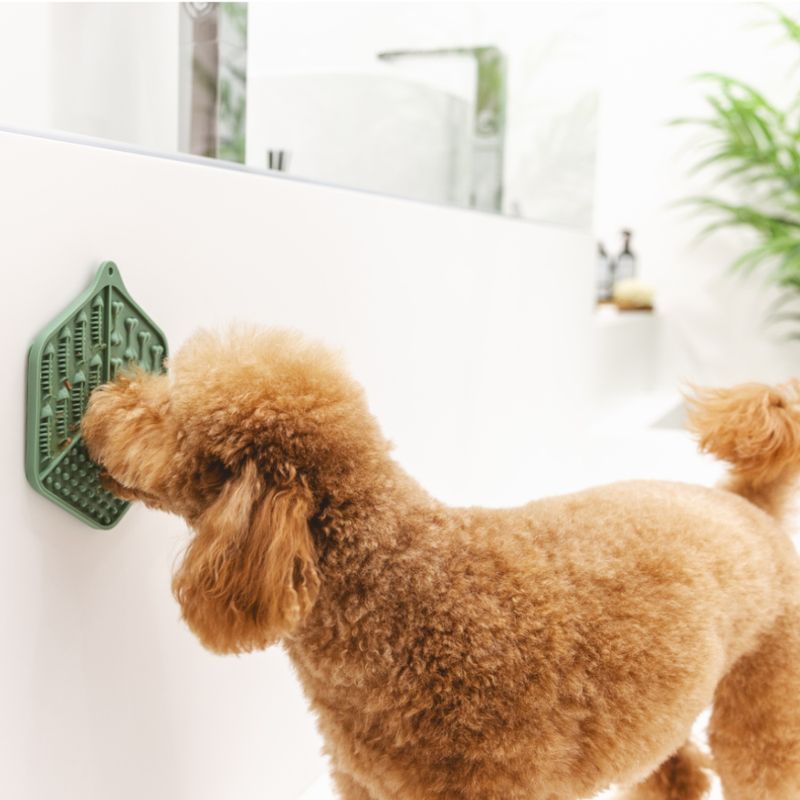 zooplus kooa Schleckmatte Bathtime kaufen Letzter Tag