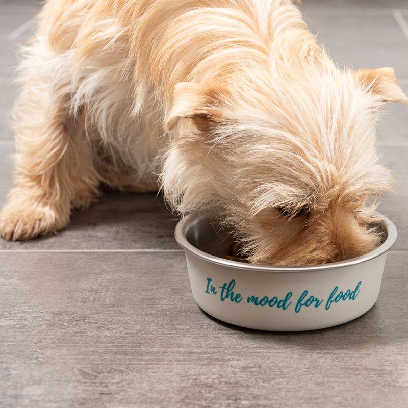 zooplus TIAKI Edelstahlnapf In The Mood For Food kaufen Bis zu 60% Rabatt