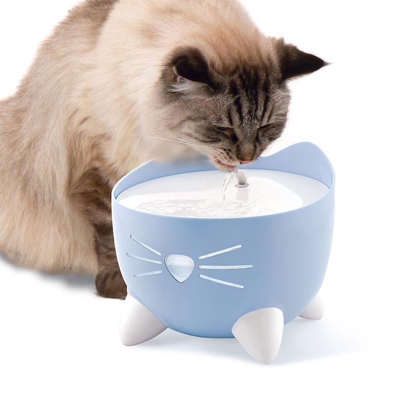 zooplus Catit PIXI Trinkbrunnen blau kaufen Nur noch ein Tag übrig