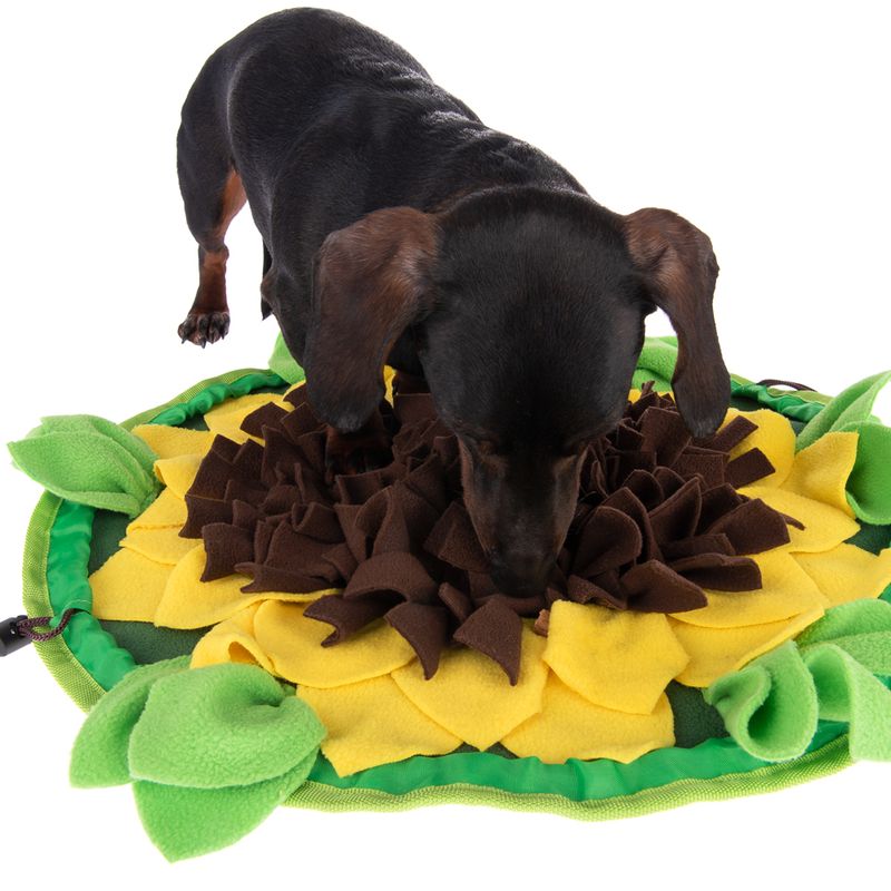 zooplus Schnüffelteppich Sunnyflower kaufen Super Rabatt