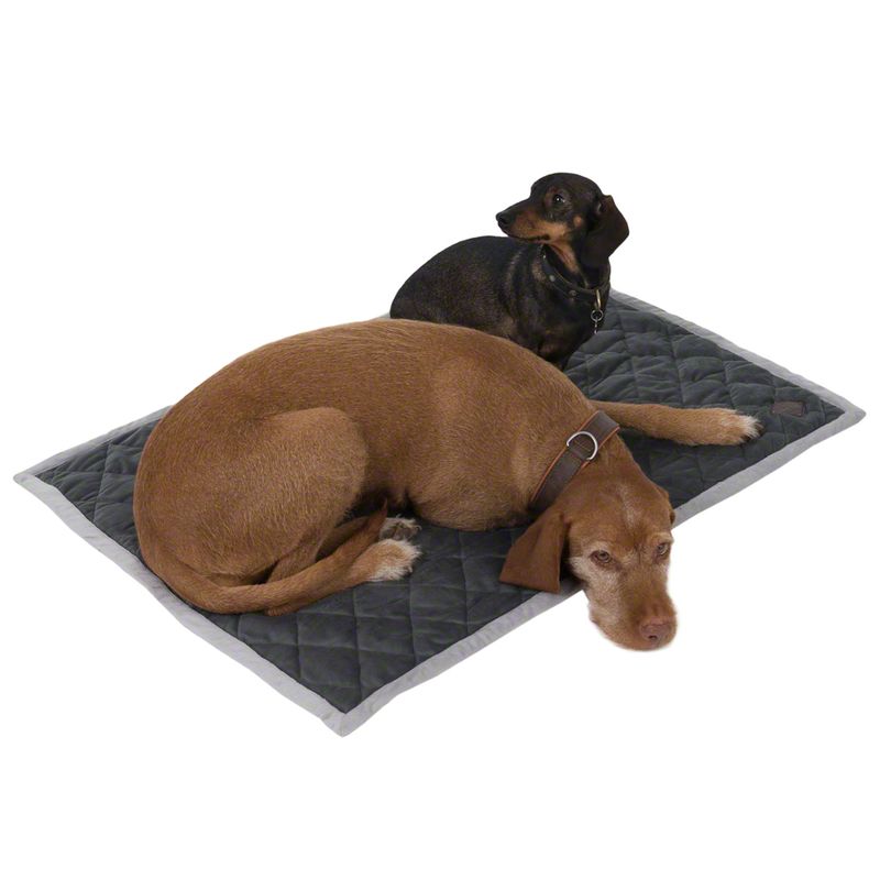 zooplus Kuscheldecke Velvet granit kaufen Rabatte dieses Monats