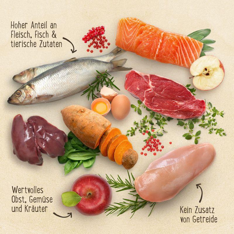zooplus Probiermix Purizon 2 x 400 g kaufen im Angebot