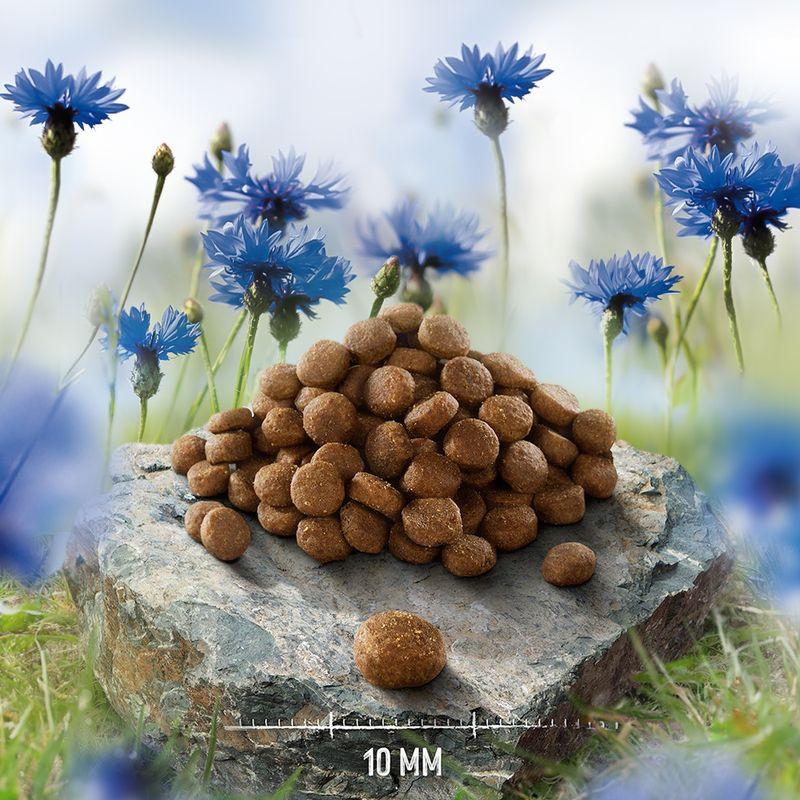 zooplus Purizon Single Meat Huhn mit Kamillenblüten kaufen Online Shopping