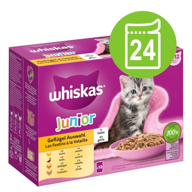 zooplus Megapack Whiskas Junior Frischebeutel 24 x 85 g kaufen Muttertagsangebot