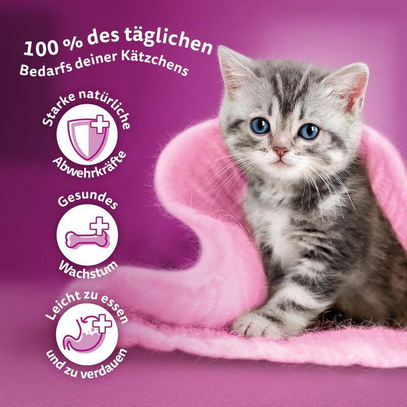zooplus Multipack Whiskas Junior Frischebeutel 12 x 85 g kaufen Zeitlich begrenztes Angebot