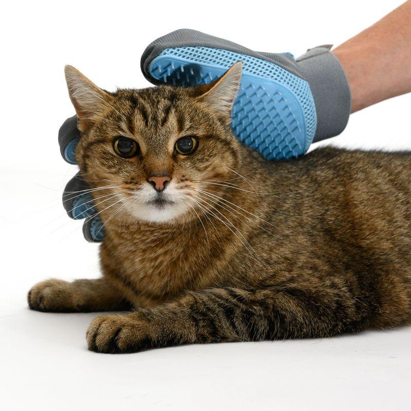 zooplus Fellpflege Handschuh Katze kaufen Neuheiten