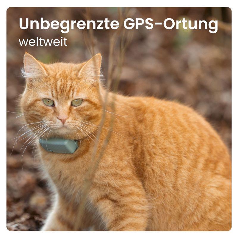 zooplus Tractive GPS Tracker für Katzen kaufen Begrenzte Freigabe