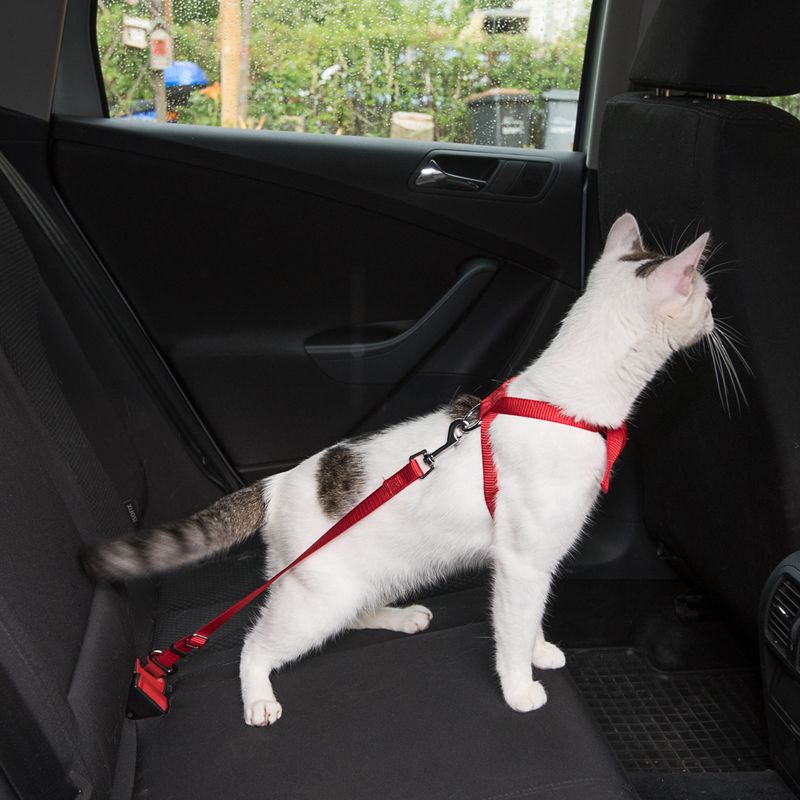 zooplus Trixie Auto-Geschirr für Katzen kaufen Kostenloser Versand international