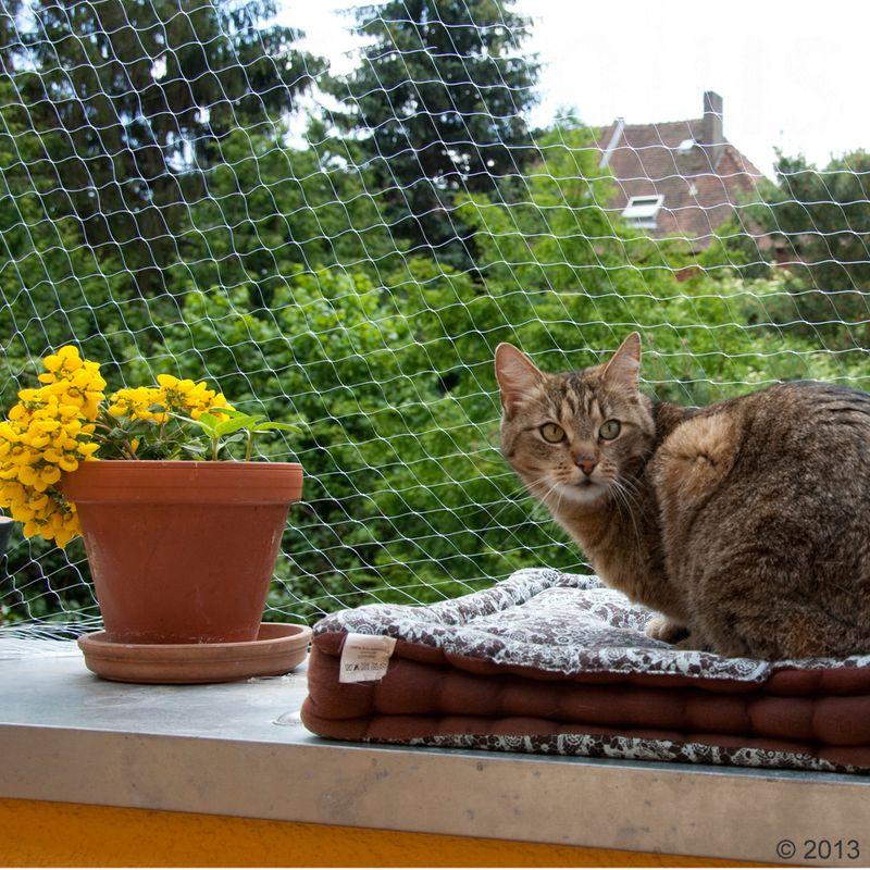 zooplus Katzennetz transparent kaufen