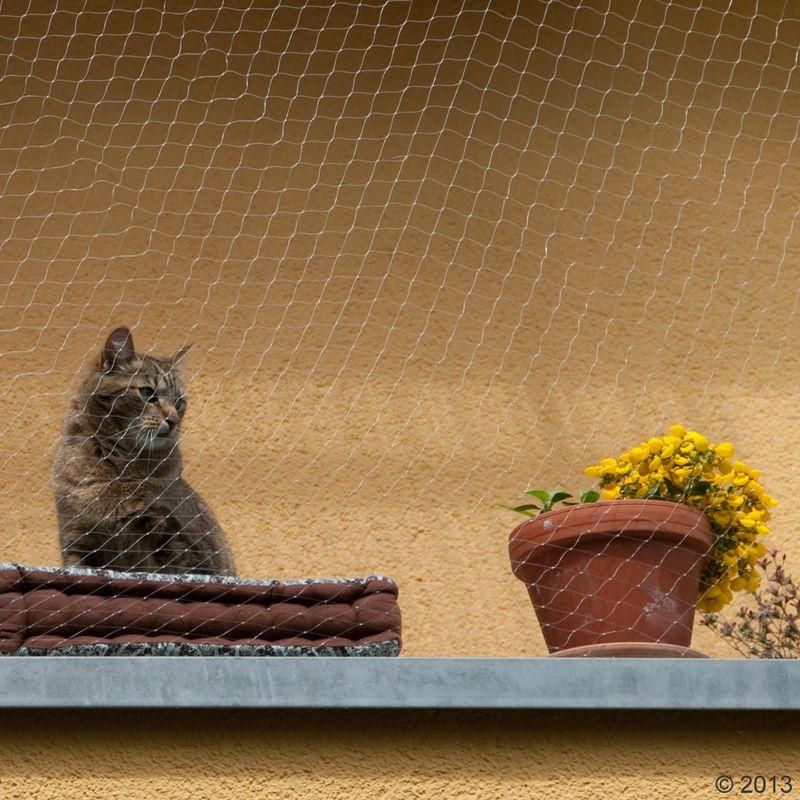 zooplus Katzennetz transparent kaufen Im Verkauf
