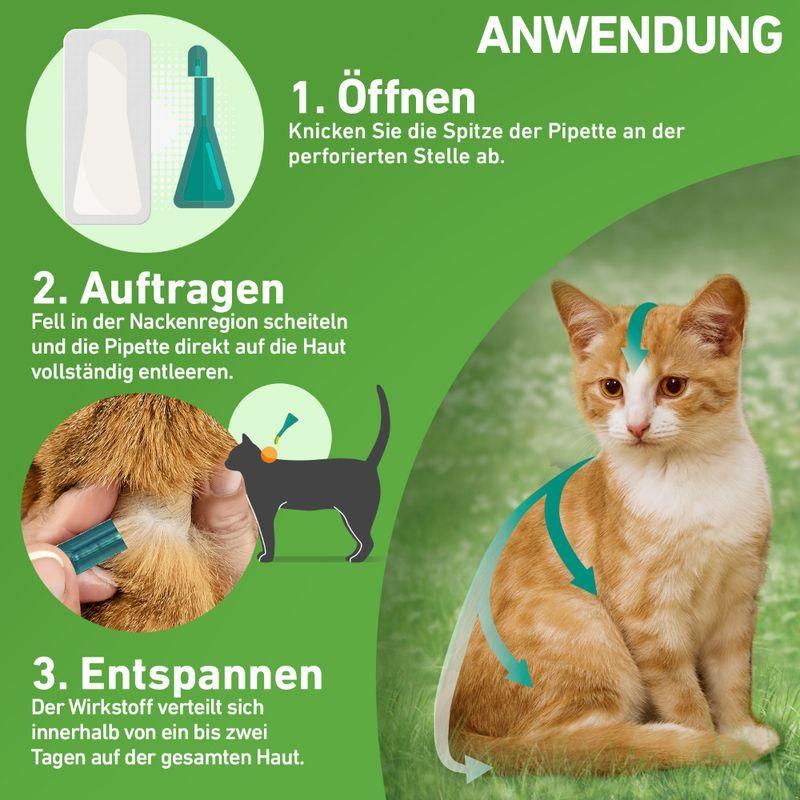 zooplus Frontline® Combo Spot-On Katze kaufen Begrenztes Angebot