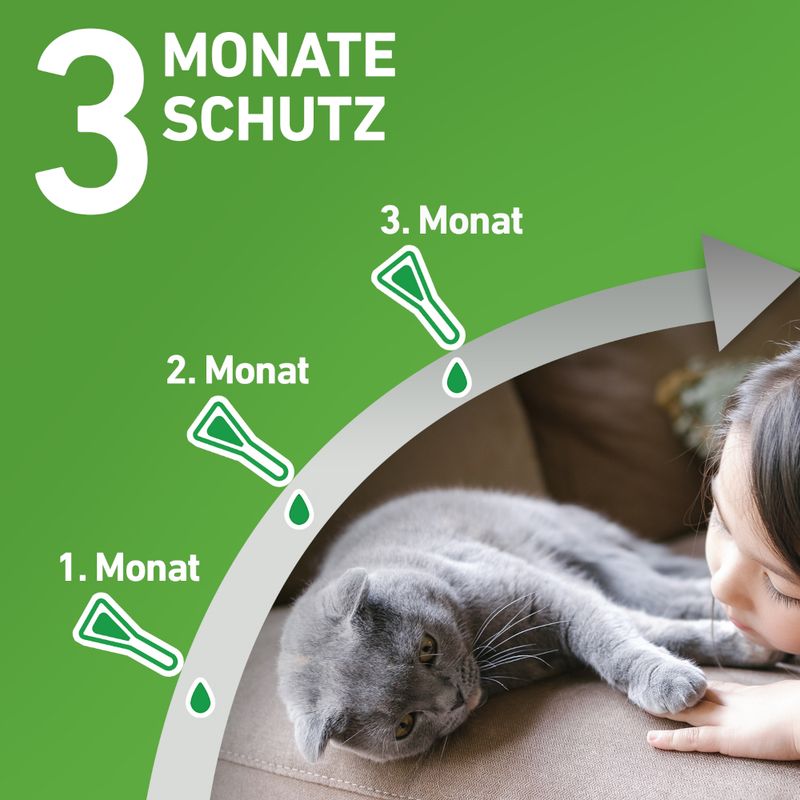 zooplus Frontline® Combo Spot-On Katze kaufen Begrenztes Angebot