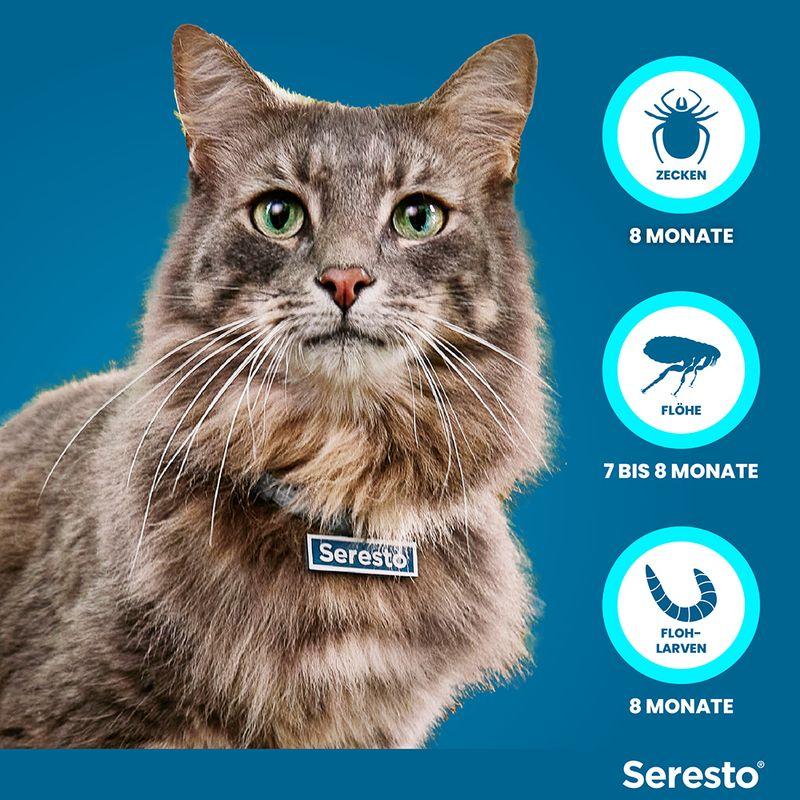 zooplus Seresto® Halsband Katze kaufen Exklusivangebot