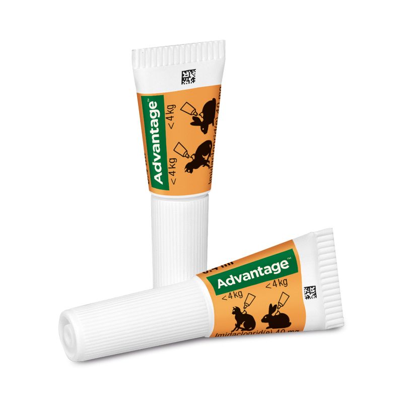 zooplus Advantage® für Katzen und Zierkaninchen kaufen Saisonschlussverkauf