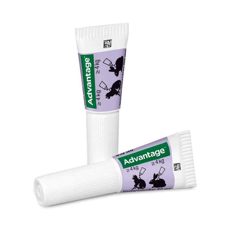zooplus Advantage® für Katzen und Zierkaninchen kaufen Saisonschlussverkauf