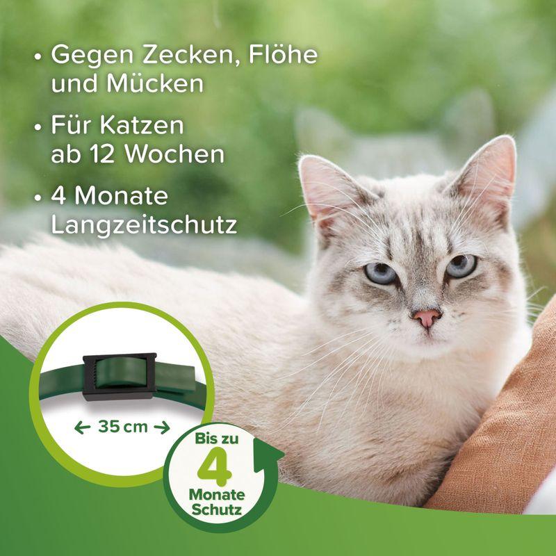 zooplus beaphar Zecken- & Flohschutz-Halsband für Katzen kaufen Osterangebot