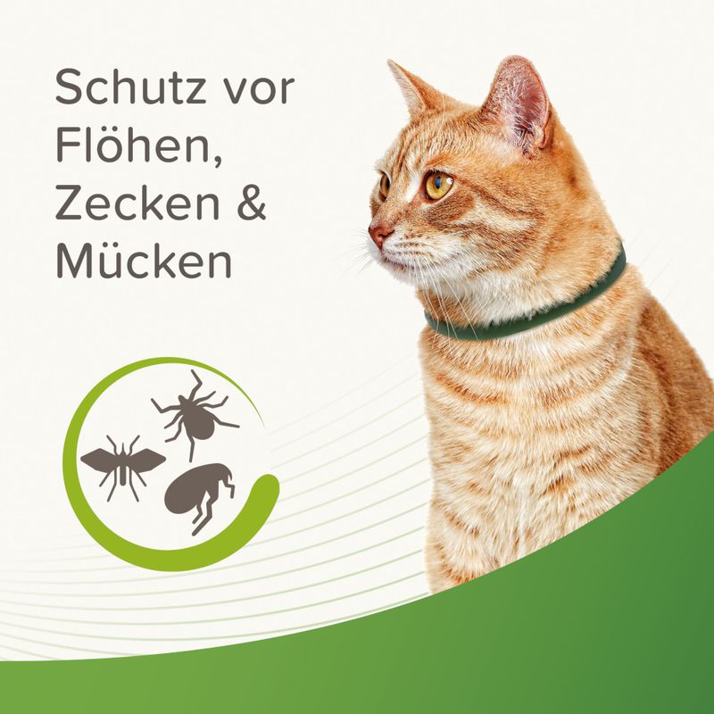 zooplus beaphar Zecken- & Flohschutz-Halsband für Katzen kaufen Osterangebot