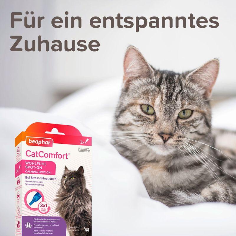 zooplus beaphar CatComfort Wohlfühl Spot-On kaufen Top Angebot