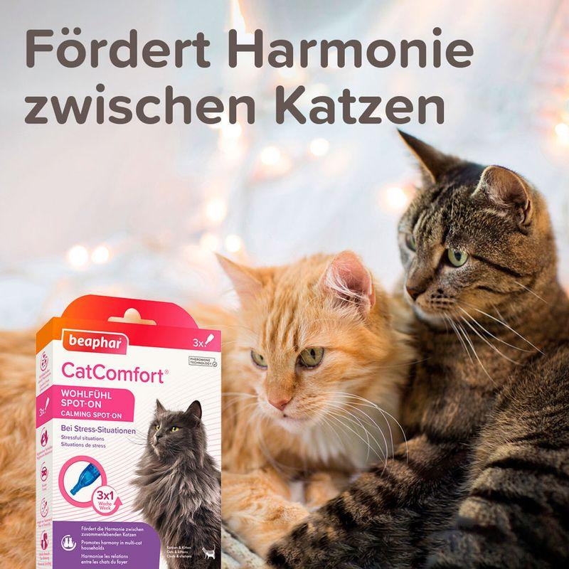zooplus beaphar CatComfort Wohlfühl Spot-On kaufen Top Angebot