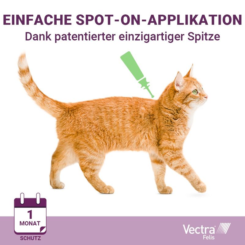 zooplus Vectra Felis für Katzen kaufen Zeitlich begrenztes Angebot