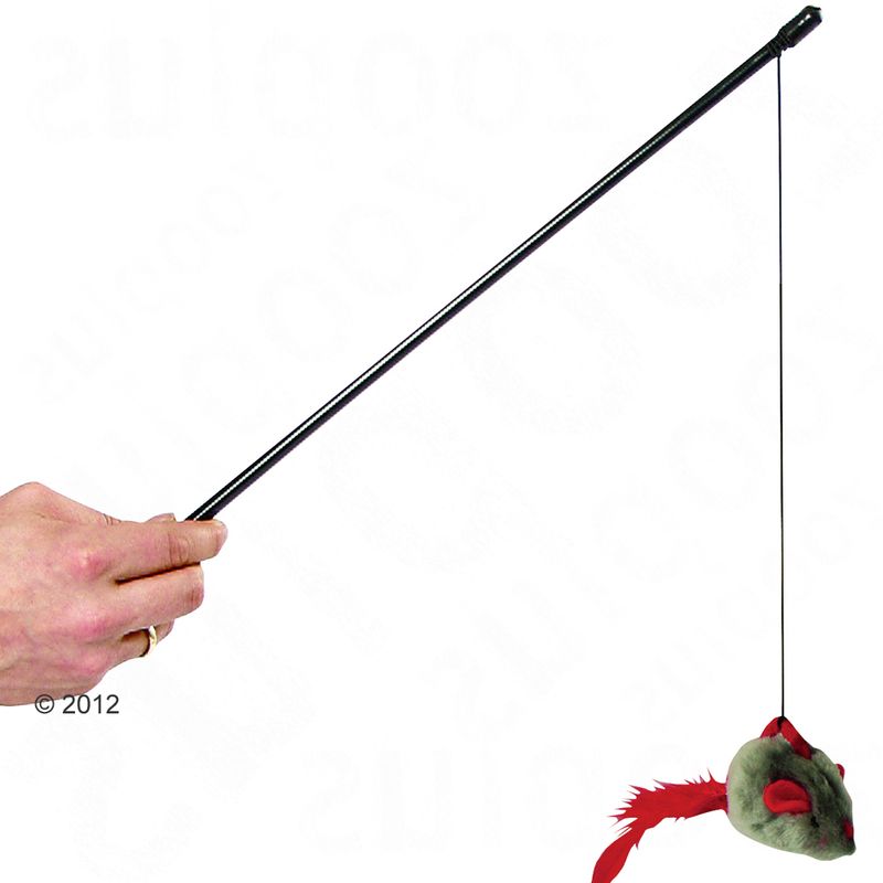 zooplus Spielangel Soundmaus kaufen Saisonale Angebote