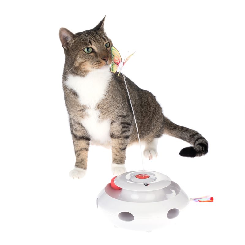zooplus TIAKI 3-in-1 Katzenspielzeug Mariposa kaufen Kauf eins, bekomm eins gratis