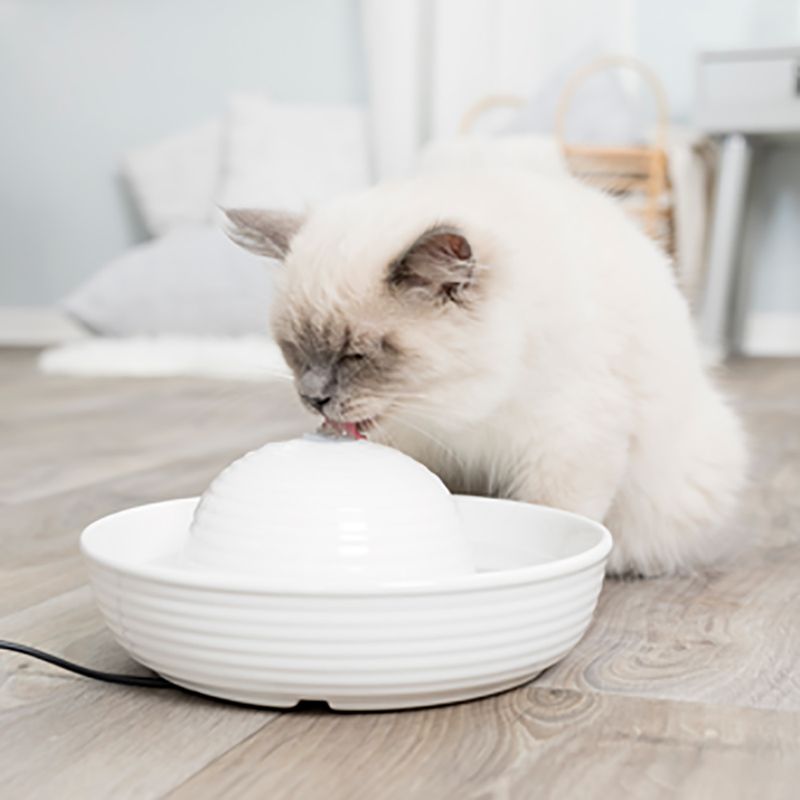 zooplus Trixie Trinkbrunnen Keramik Vital Flow kaufen Tägliche Deals