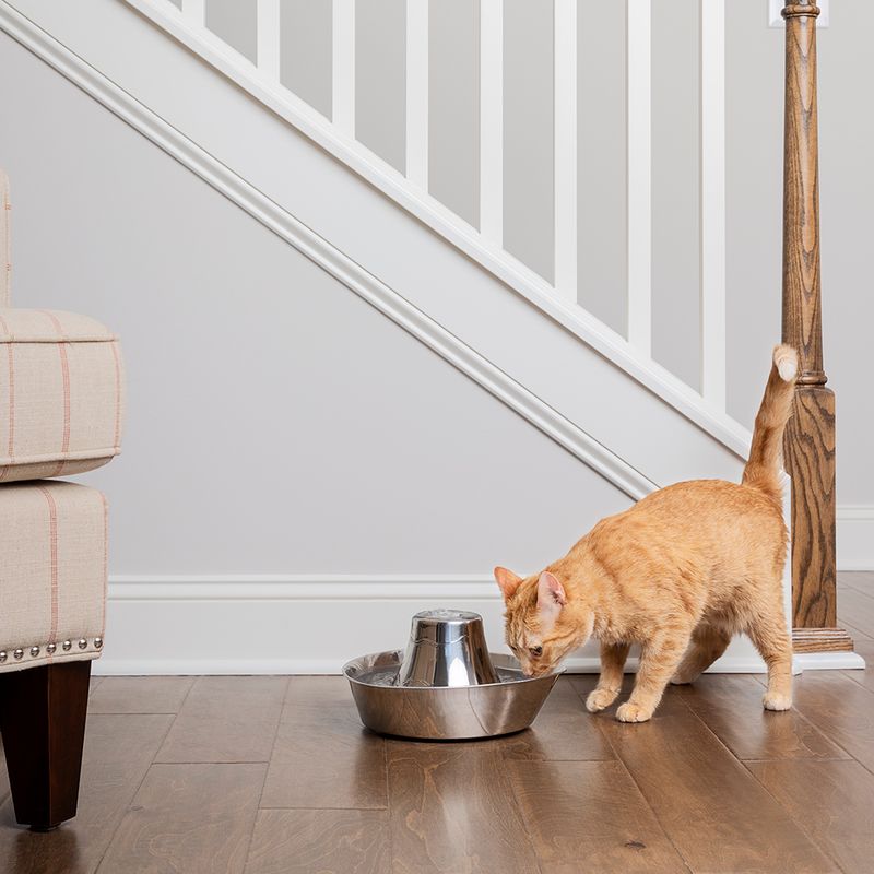 zooplus PetSafe® Edelstahl-Trinkbrunnen Küstenrauschen kaufen VIP-Rabatte