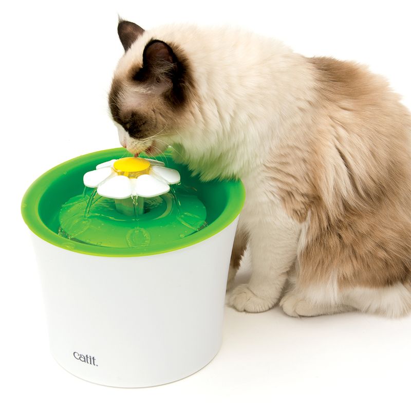 zooplus Catit 2.0 Flower Fountain kaufen Begrenzte Freigabe