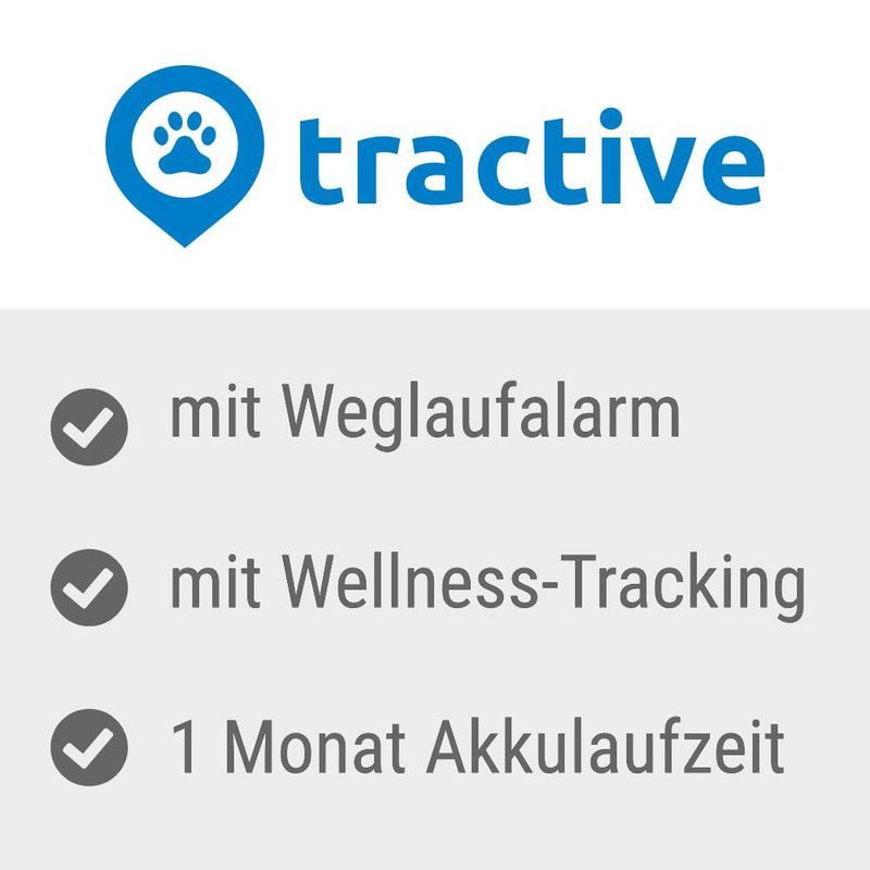 zooplus Tractive XL GPS Tracker für Hunde Adventure Edition kaufen 2025