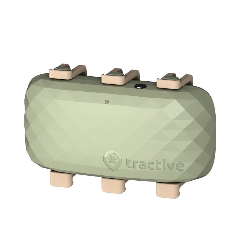 zooplus Tractive XL GPS Tracker für Hunde kaufen Online