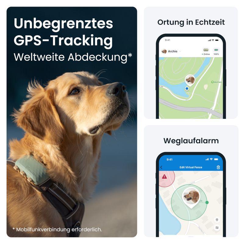 zooplus Tractive XL GPS Tracker für Hunde kaufen Online