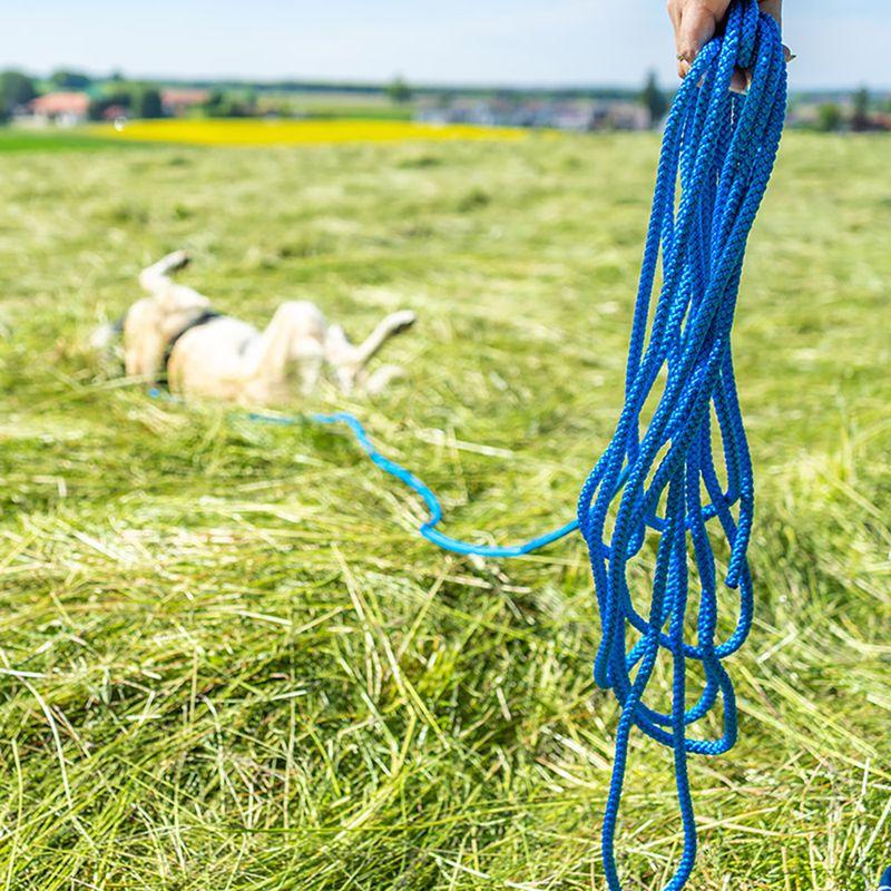 zooplus Pawz & Pepper Schleppleine Rund geflochten blau kaufen Hotsell