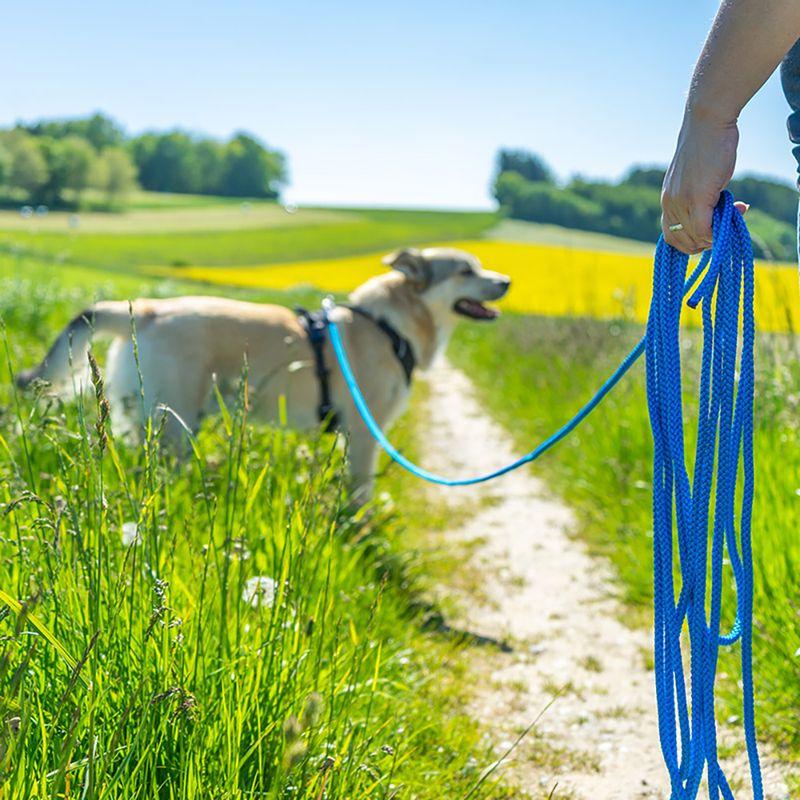 zooplus Pawz & Pepper Schleppleine Rund geflochten blau kaufen Hotsell