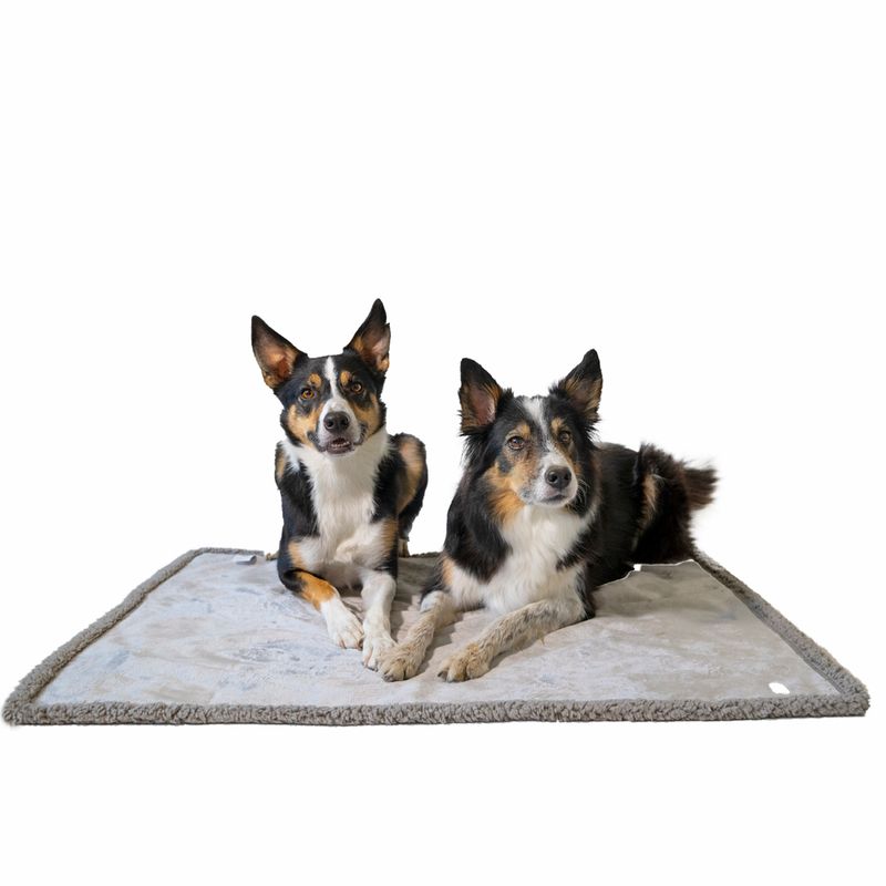 zooplus TIAKI Wasserdichte Hundedecke grau kaufen Weihnachtsangebot