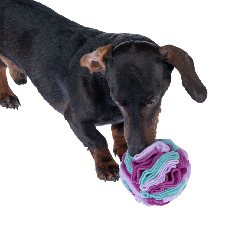 zooplus zooplus Basics Hundespielzeug Schnüffelball kaufen Neueste Stile