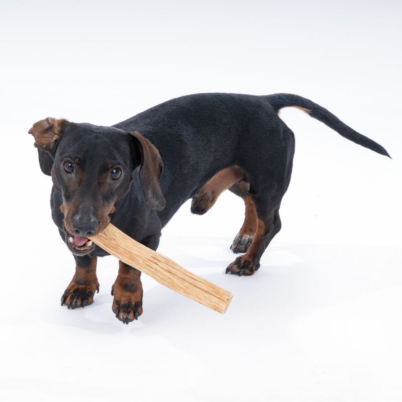 zooplus Nomad Tales Calma Litschiholz für Hunde kaufen Letzte 2 Tage