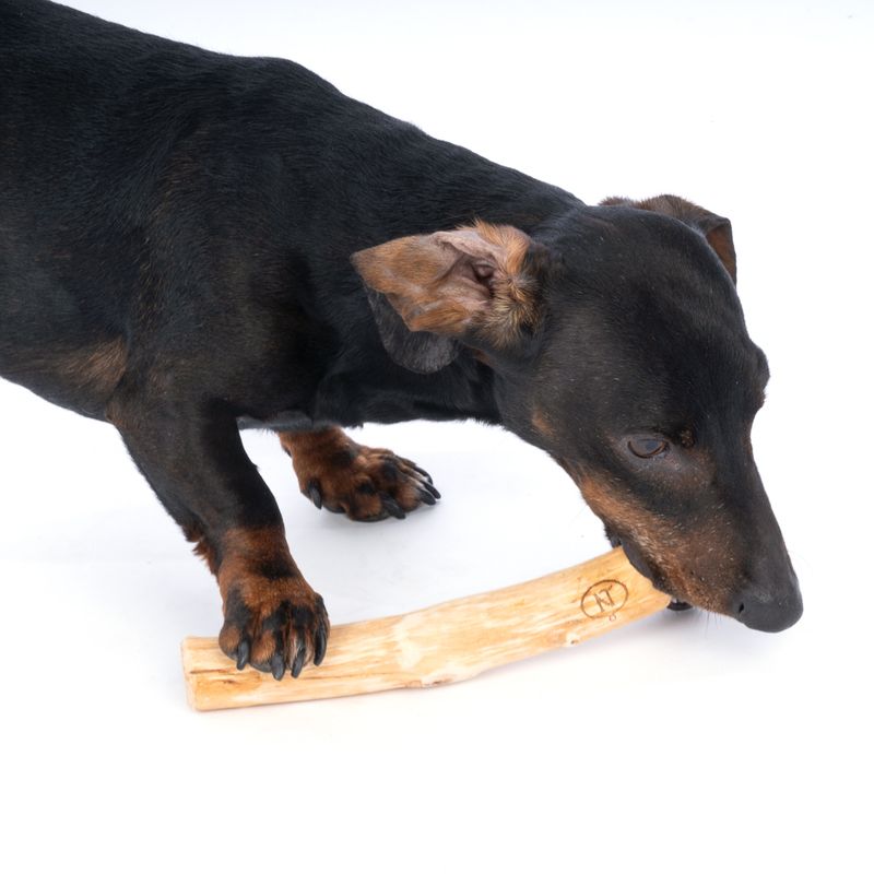 zooplus Nomad Tales Calma Litschiholz für Hunde kaufen Letzte 2 Tage