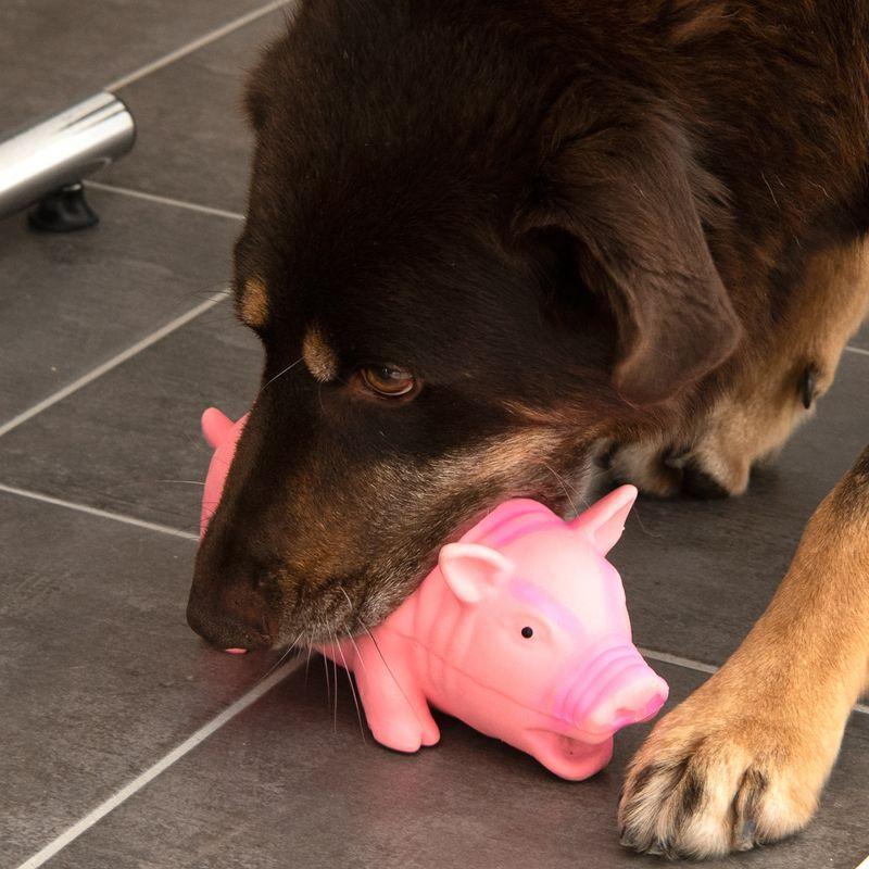 zooplus Hundespielzeug Latex-Schwein mit Stimme kaufen Bis zu 60% Rabatt