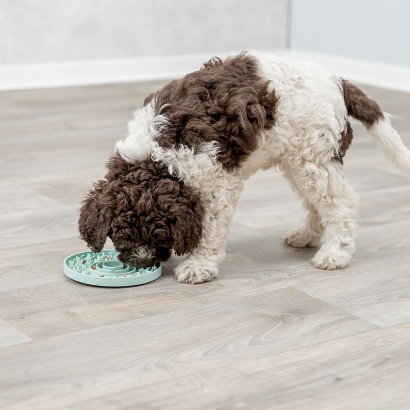 zooplus Trixie Junior Lick'n'Snack Schleckplatte kaufen Nur noch ein Tag übrig
