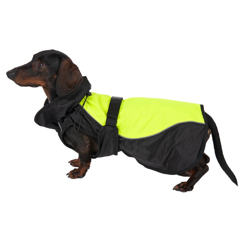 zooplus Hundemantel Illume Nite Neon kaufen Limitierter Zeitrabatt