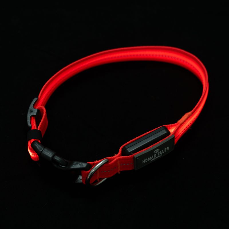 zooplus Nomad Tales Spirit USB LED Nylonhalsband orange kaufen